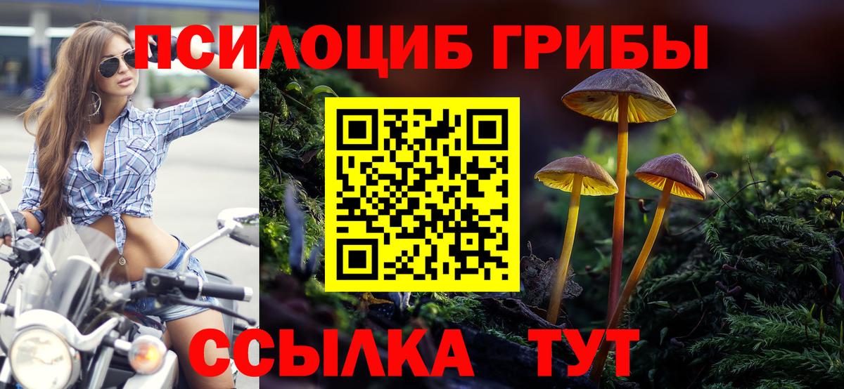 Псилоцибиновые грибы Psilocybine cubensis Спасск-Дальний