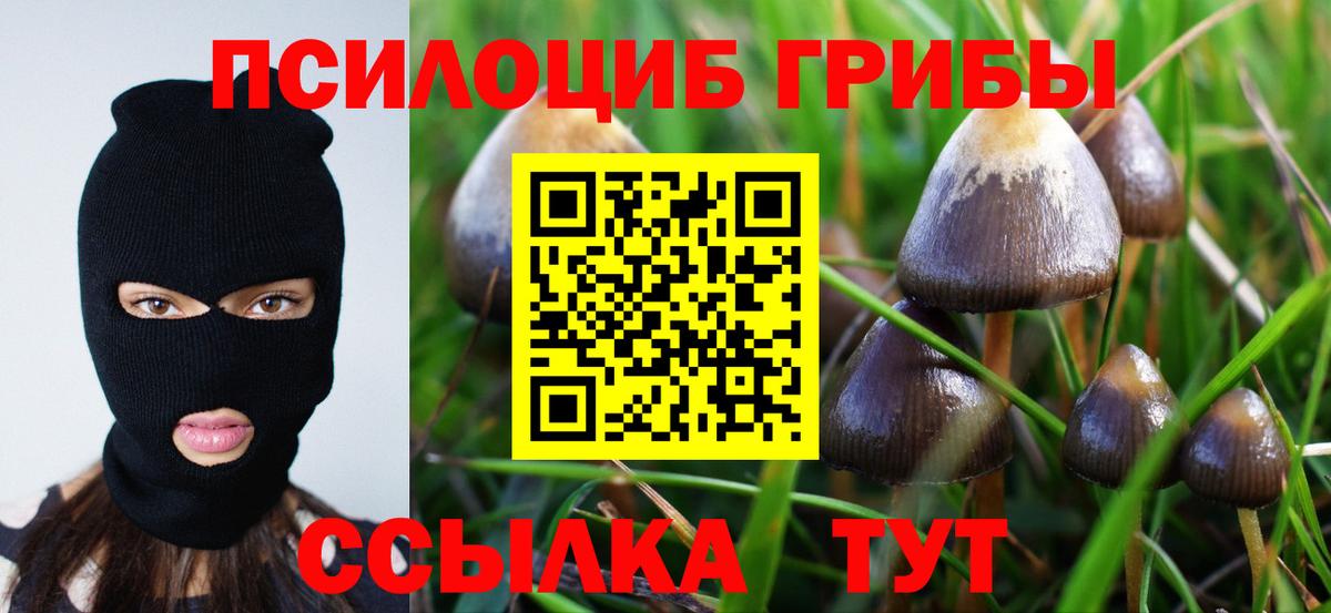 Галлюциногенные грибы прущие грибы  Вход с VPN  Псилоцибиновые грибы Magic Shrooms  Спасск-Дальний 